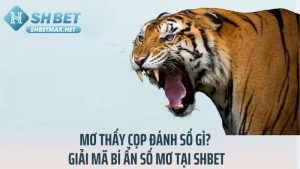 Mơ Thấy Cọp Đánh Số Gì